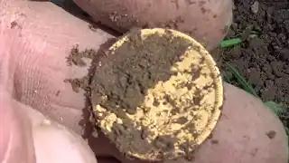 coin hunting metal detector videos